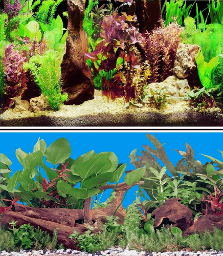 a double sided aquarium background with various plants and bogwood