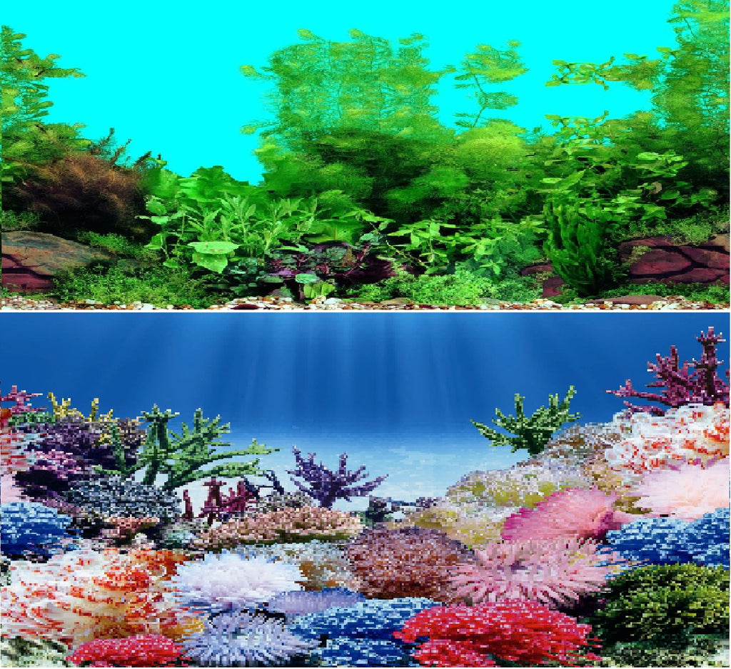 Aquarium Fish Tank Background Double Sided Decoration - Coral Reef / T –  Pond-orbis