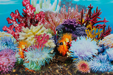 Aquarium Fish Tank Background Double Sided Decoration - Coral Reef / Rock Scene