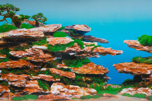 Aquarium Fish Tank Background Double Sided Decoration - Layered Rock / Coral Scene