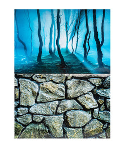 Aquarium Fish Tank Background Double Sided Decoration - Twilight Forest and Grey Wall