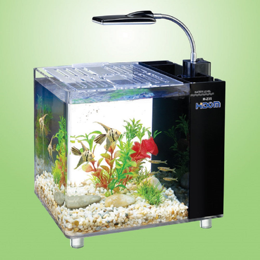 desktop aquarium with overhead light