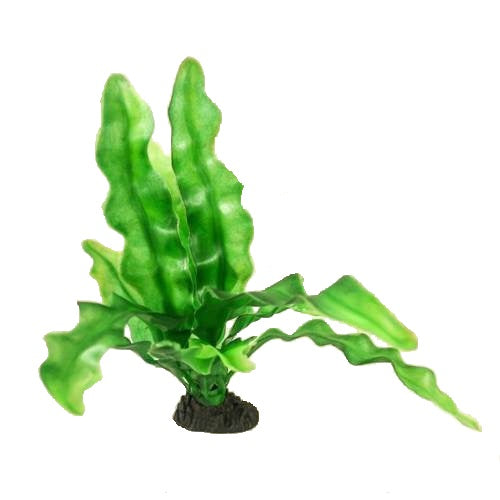 an artificial aquarium plant with large glossy green leaves