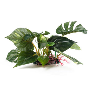  an artificial aquarium plant with large glossy green leaves