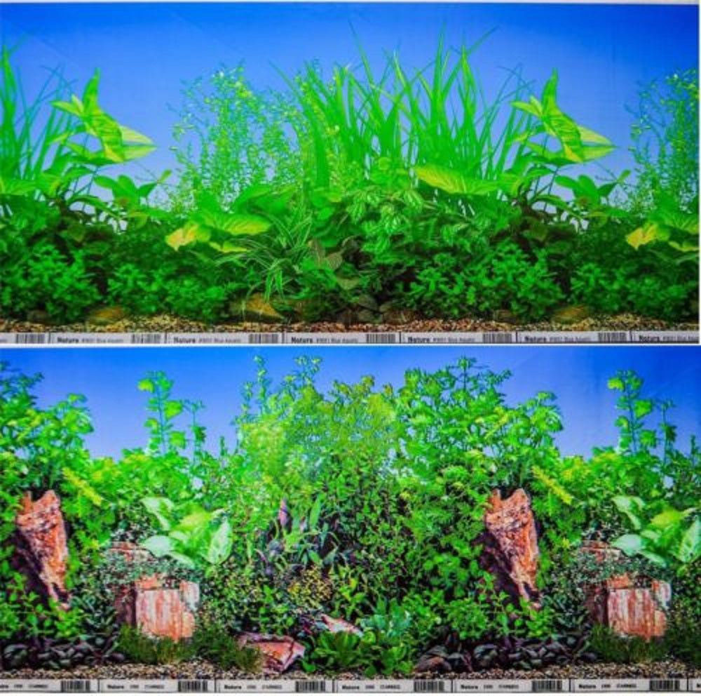 a double sided aquarium background with lustrious green tropical plants set in crystal clear blue water