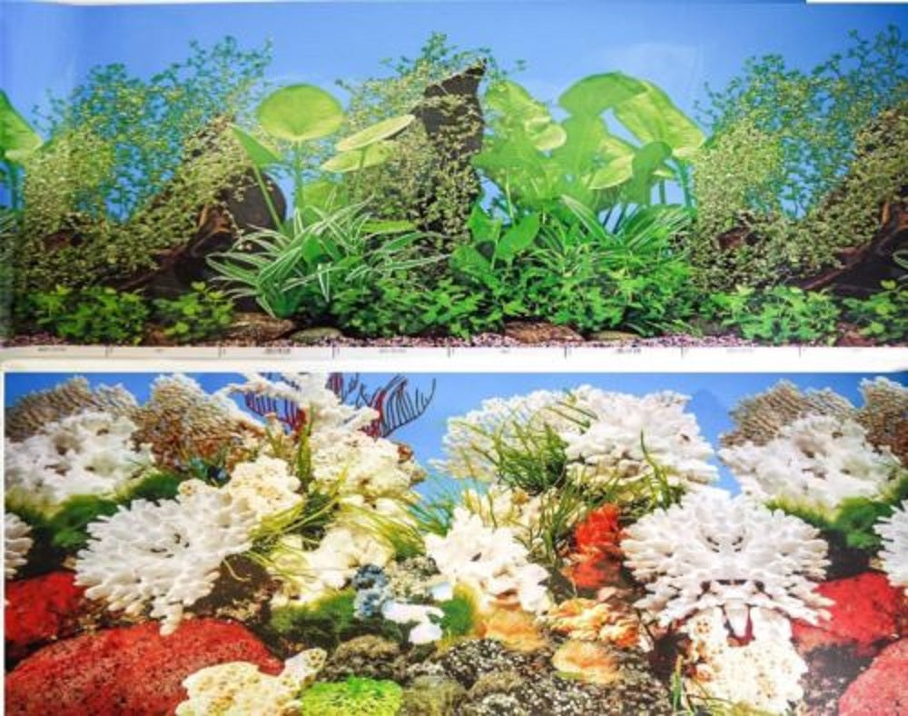 a double sided aquarium background with large leaf green plants with bog wood on one side and a marine coral scene on the other side