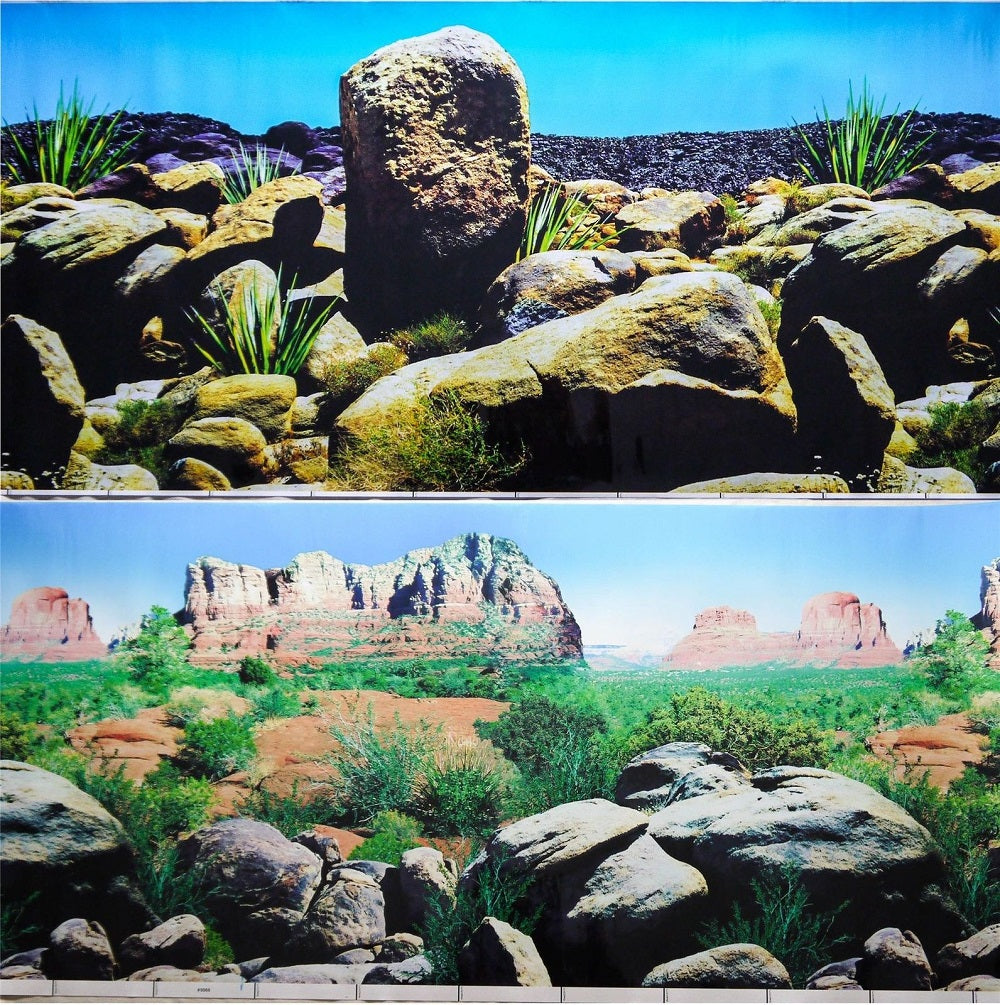 a double sided aquarium background with rocky desert scenes