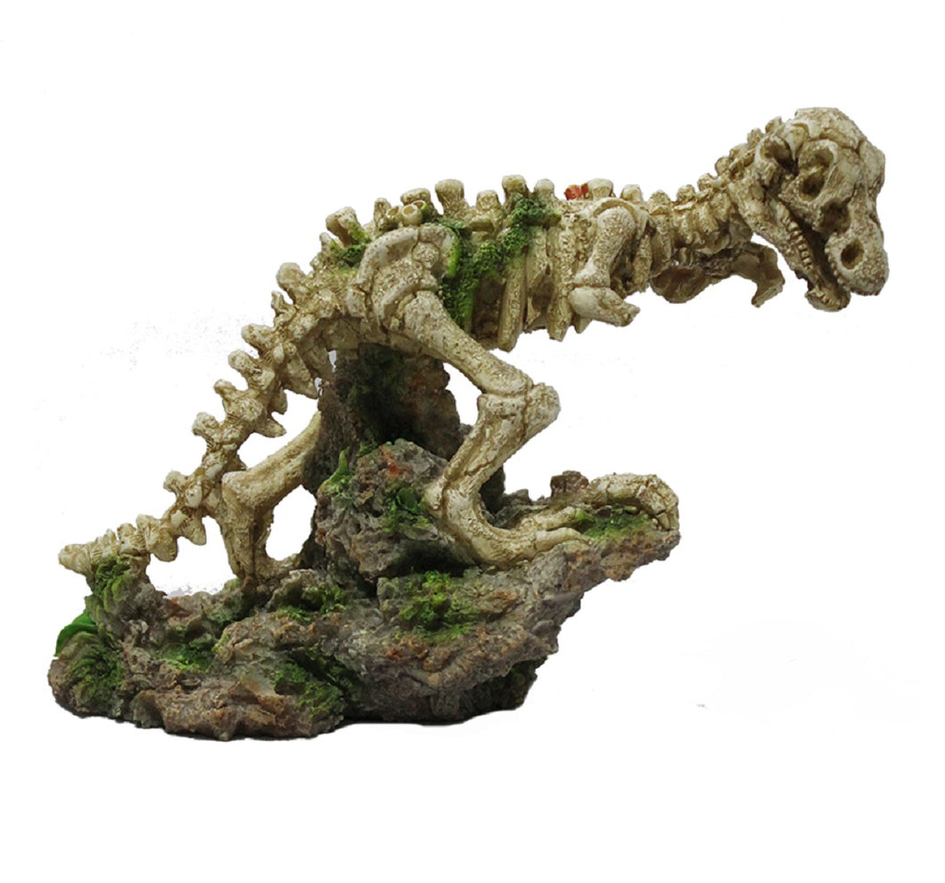 complete dinosaur skeleton standing on two legs
