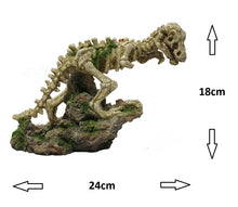Fish Tank Aquarium Ornament Feature - Tyranosaurus (T rex) Dinosaur Skeleton