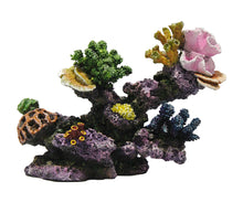 fish tank coral reef rock outcrop with various coloured polyps
