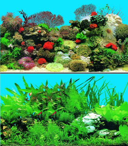 a double sided aquarium background with red coral and tropical fish and plants