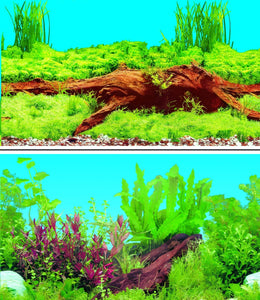 a double sided aquarium background with a large peice of bog wood surrounded by thick green plants on one side and a tropical green and red coloured plants on the other side