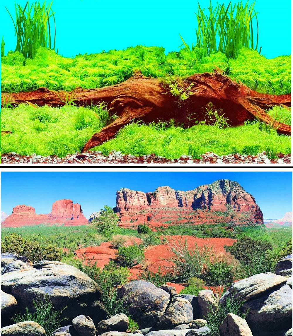 a double sided aquarium background with bogwood and a rocky desert scene