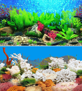 a double sided aquarium background with coral plus green and red plants