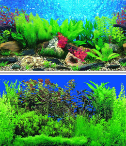 a double sided aquarium background picturing lustrious shades of green tropical plants under a deep blue water