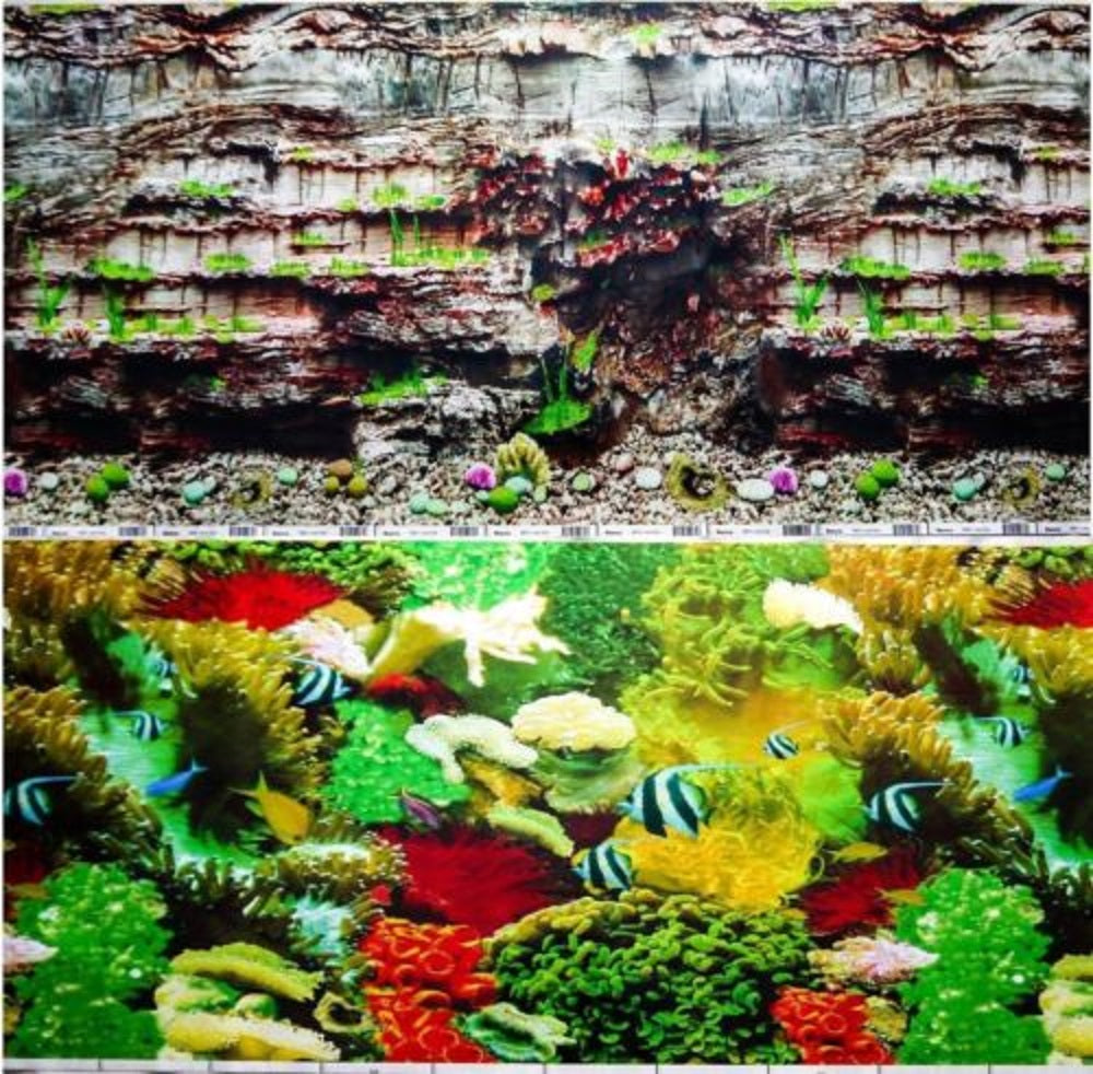 a double sided aquarium background with a rock face plus marine fish and coral