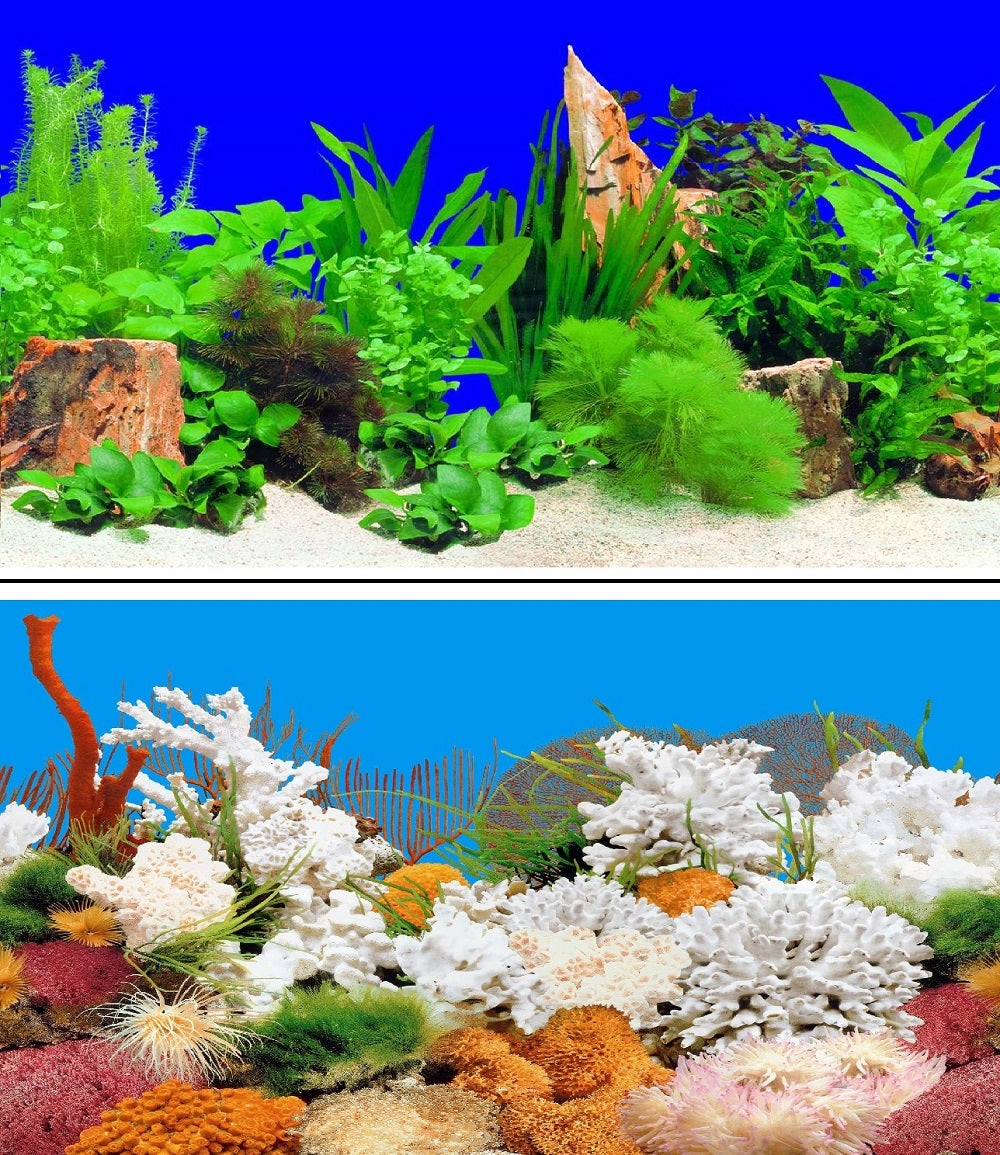 a double sided aquarium background with tree stumps, plants and colourful coral
