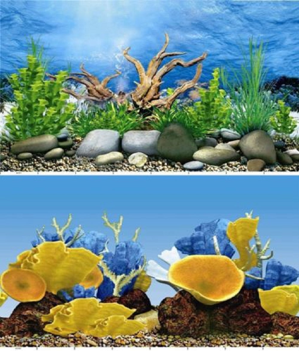 a double sided aquarium background with coral display and stoney river bed