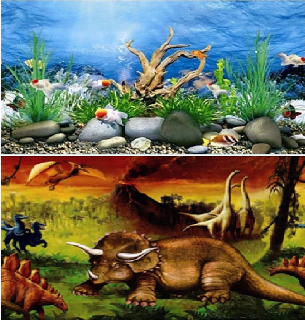 a double sided aquarium background with a dinasour scene and a shallow river bed