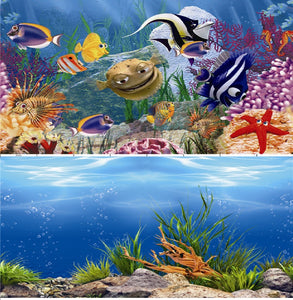 a double sided aquarium background featuring various large marine fish swimming near a coral reef on one side and a shallow sea-bed with scattered green plants on the other side