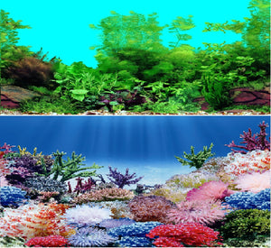 a double sided aquarium background with a coral and tropical scene