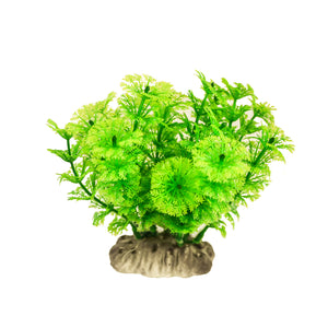  an artificial aquarium plant with feathered green leaves
