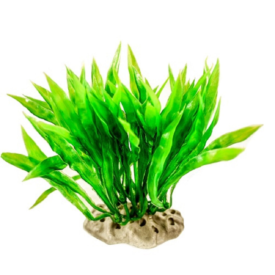  an artificial aquarium plant with feathered green leaves