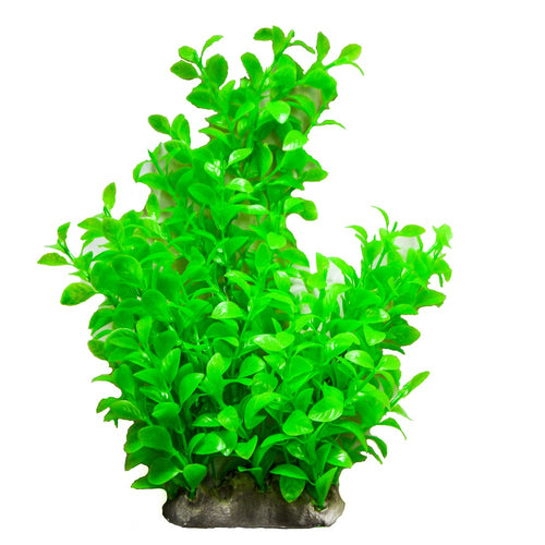  an artificial aquarium plant with glossy green leaves