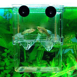 Aquarium Fish Tank Hatchery Breeding Box Fry Trap - Hidom BX-003